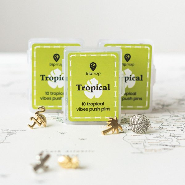 decorative gold tropical map push pins