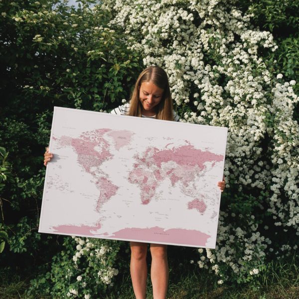 push pin world to track travels pink 12p