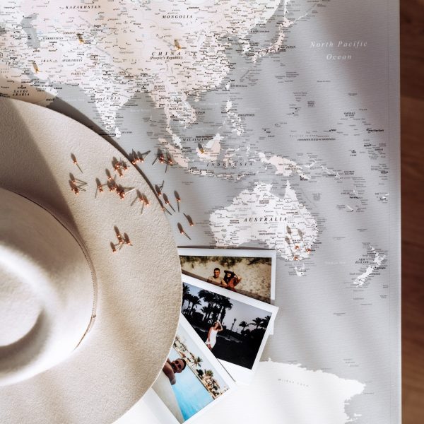 travel gift for family world map grey cream 1p