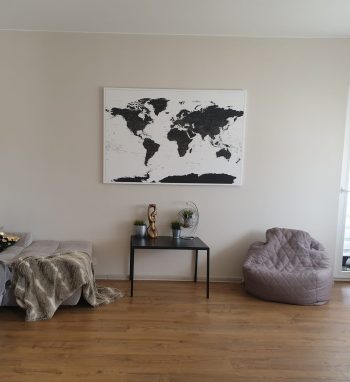 large-black-and-white-push-pin-world-map-customer-photo