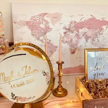 pink-push-pin-world-map-customer-photo