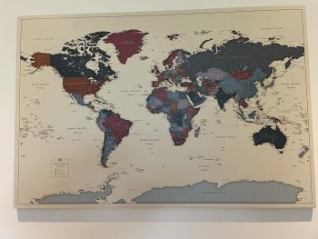 push-pin-world-map-customer-photo-grapes-map-on-the-wall