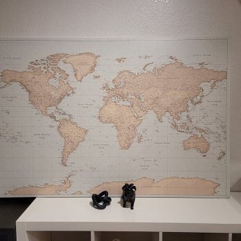 vintage-paush-pin-world-map-customer-photo